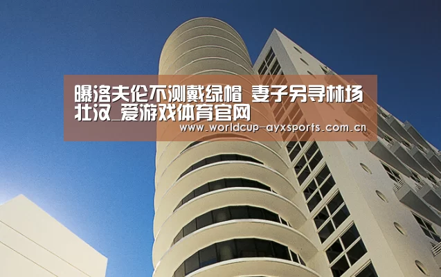 爱游戏体育官网