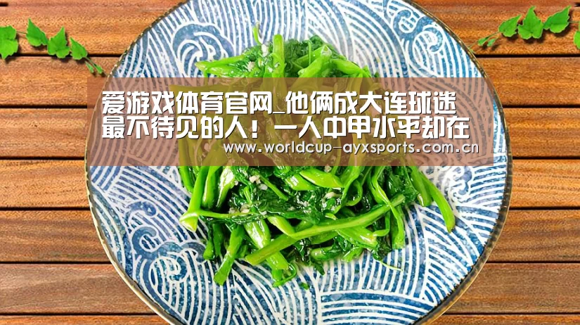 爱游戏体育官网_他俩成大连球迷最不待见的人!一人中甲水平却在球队屡屡耍大牌(图1) 体育直播