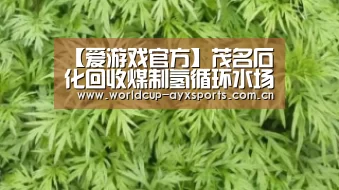 【爱游戏官方】茂名石化回收煤制氢循环水场排污水实现节水减排(图1) 爱游戏直播