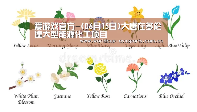 爱游戏官方-(06月15日)大唐在多伦建大型能源化工项目(图1) 爱游戏官方