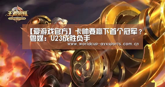 爱游戏体育官网