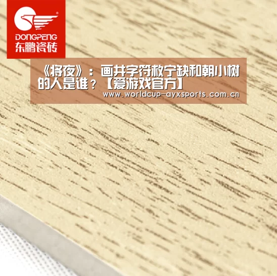 《将夜》:画井字符救宁缺和朝小树的人是谁?【爱游戏官方】(图4) 爱游戏直播